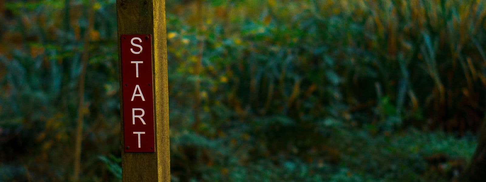 Start Before You Think