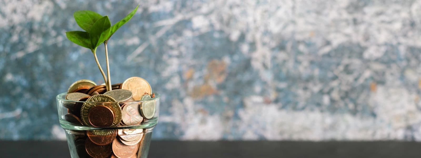 Make Brilliance Pay Its Own Bills